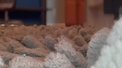 WorldUnseenFilms - Cleaning House