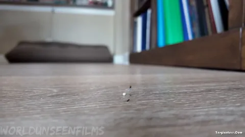 WorldUnseenFilms - Realtors Bug Problem