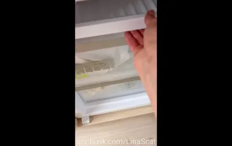 Scat Lina - I save 6 loads of shit