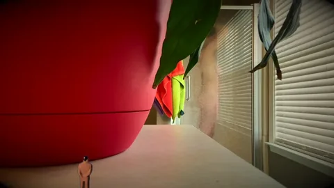 Ms.Tomorrow - Tiny Voyeur
