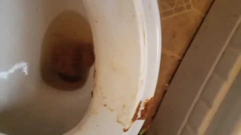 Amberbooty - Toilet Cam 5.0 - Big ebony Ass shitting