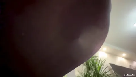 Mingshijie GTS - The Miniaturized Admirer POV