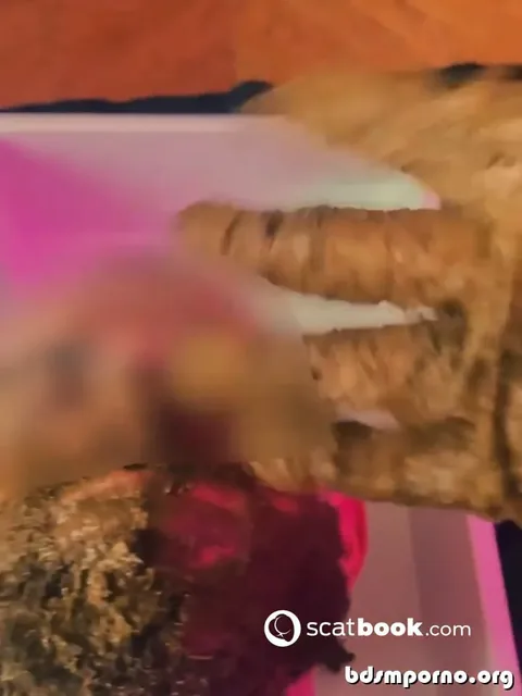Divine Jasmine - First Time Toilet Slave